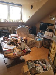 WhatsApp Image 2026-03-14 at 14.25.47